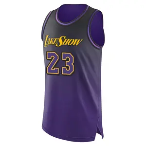 Los Angeles Lakers Authentic Purple LeBron James 2024/25 City Edition Jersey - Men's