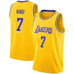 Los Angeles Lakers Swingman Gold Larry Nance 2018/19 Jersey - Icon Edition - Men's