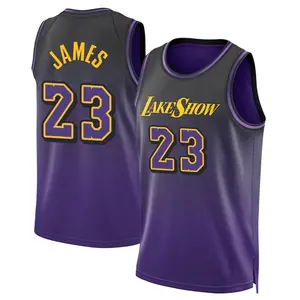 Los Angeles Lakers Swingman Purple LeBron James 2024/25 City Edition Jersey - Youth